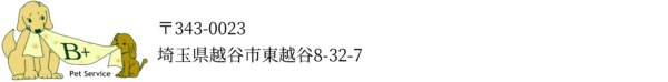 Pet service B+